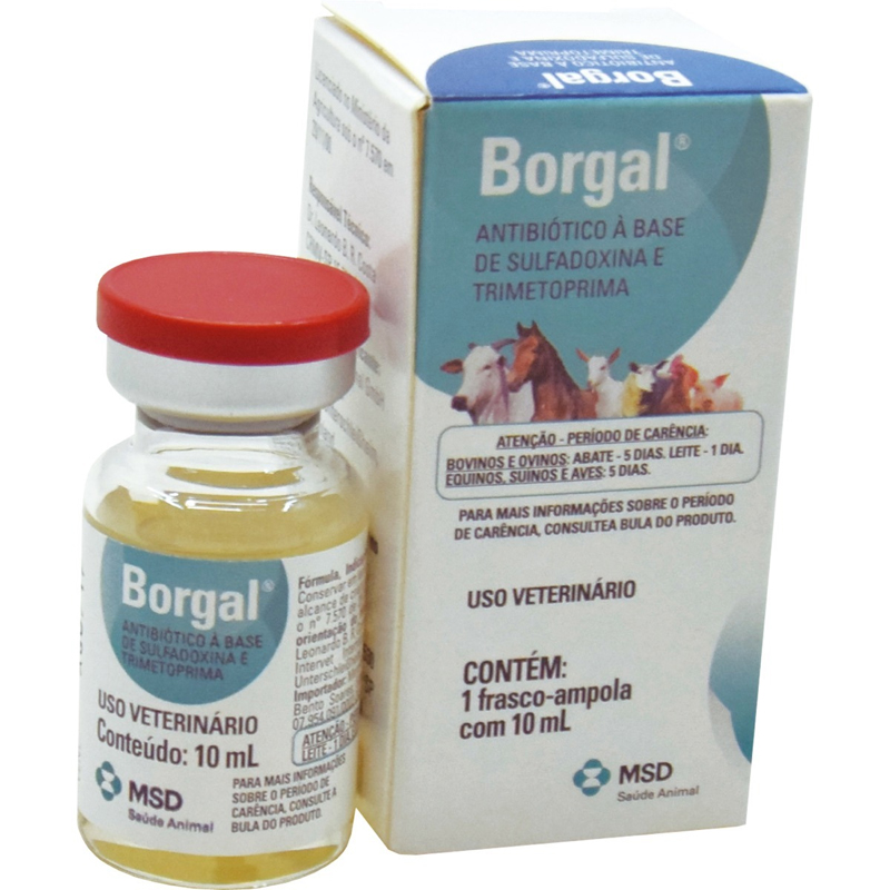 BORGAL INJ. 10ML