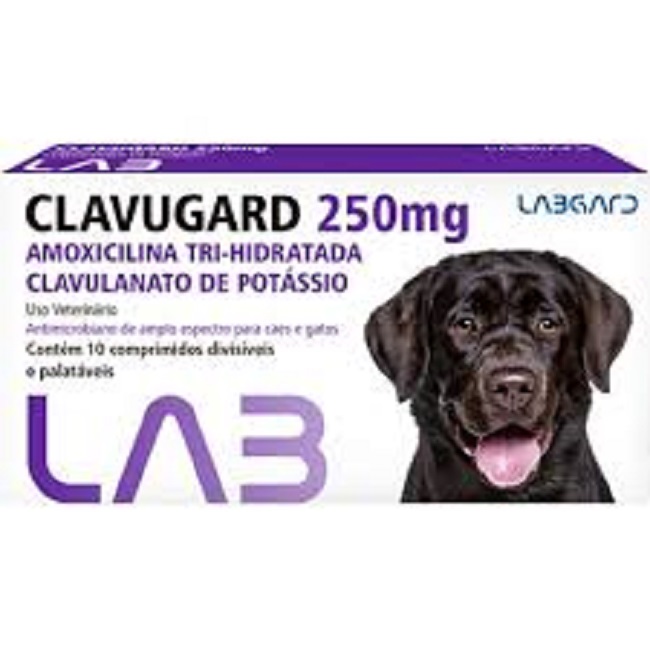 CLAVUGARD 250 MG 10 COMPRIMIDOS